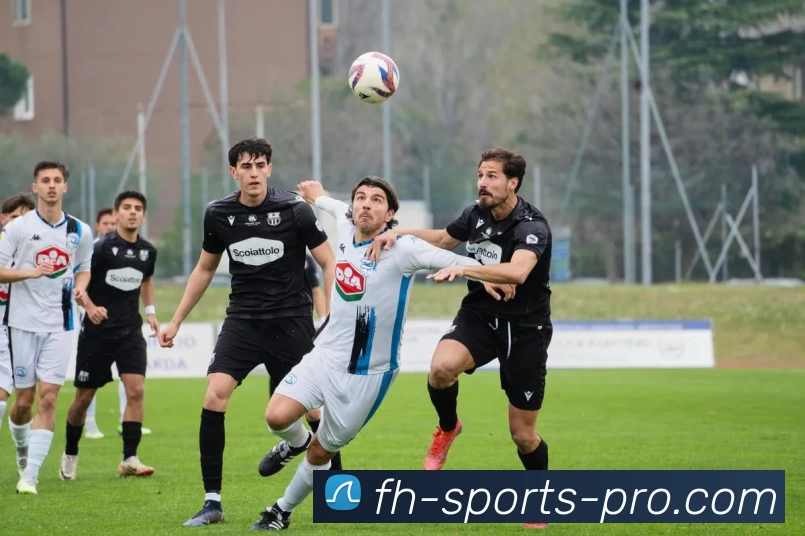 凤凰体育专业全站App